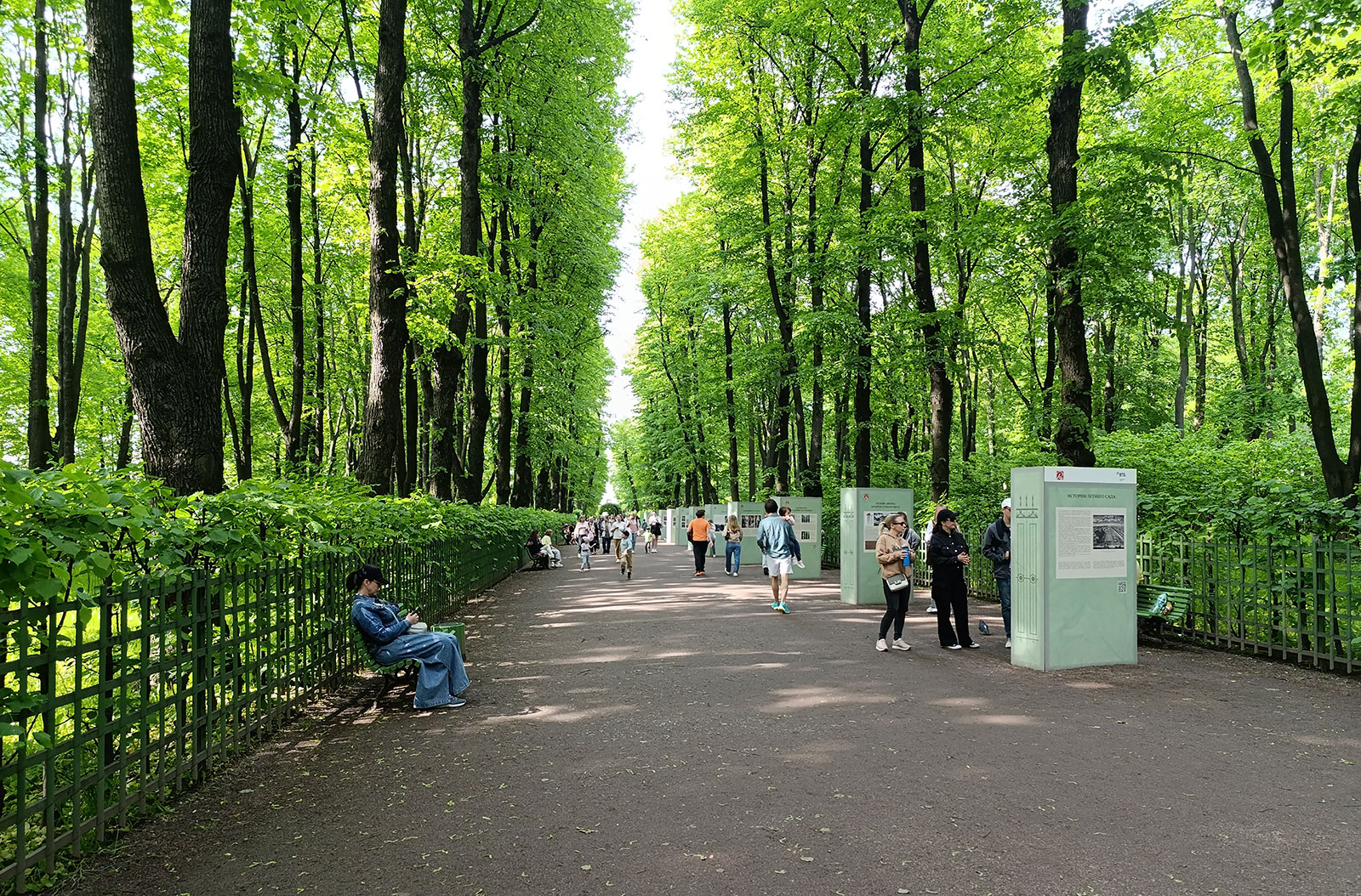 Аллея Летнего сада в Санкт-Петербурге