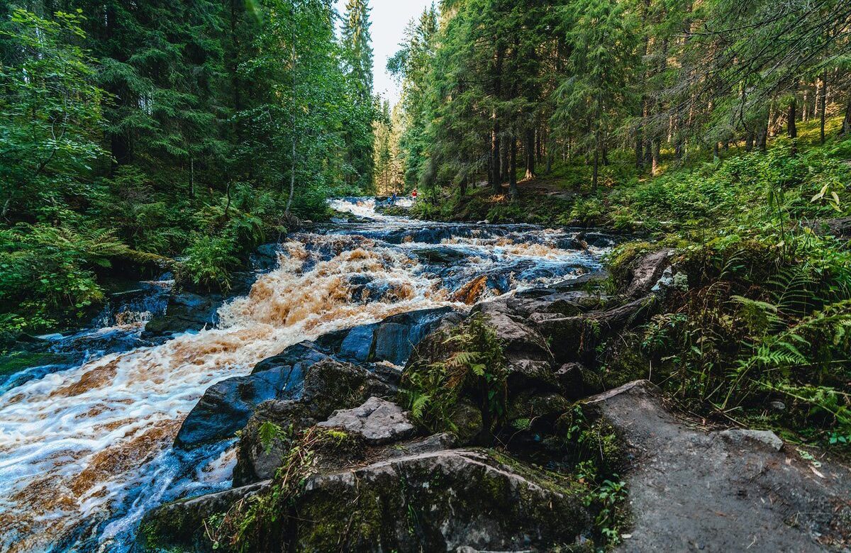 Экопарк "Долина водопадов" в Карелии