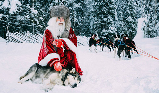 Новогодняя экскурсия в Санкт-Петербурге - День в Карелии: в гости к хаски и карельскому Деду Морозу