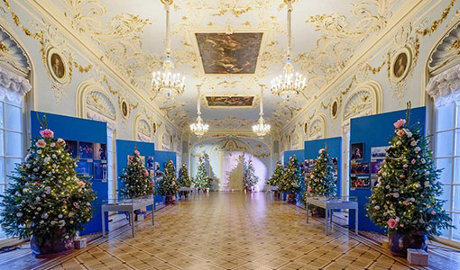 Новогодняя экскурсия в Санкт-Петербурге - Зимние праздники в Эрмитаже