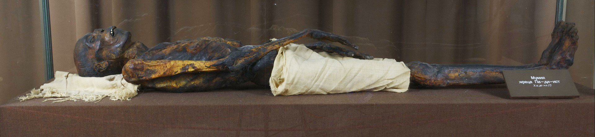 Мумия жреца Па-ди-ист в Эрмитаже, предположительно Х в. до н.э., 172 см.