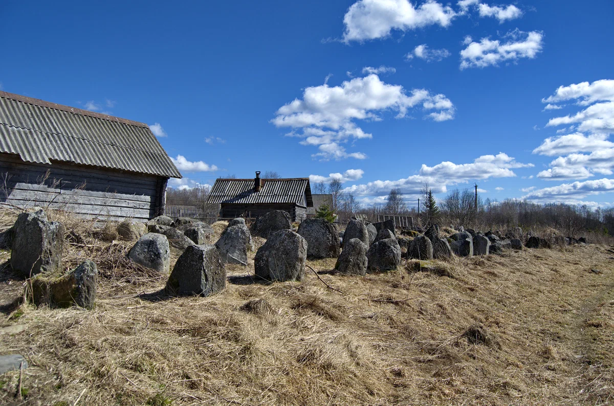 Ольховая глушь в Карелии