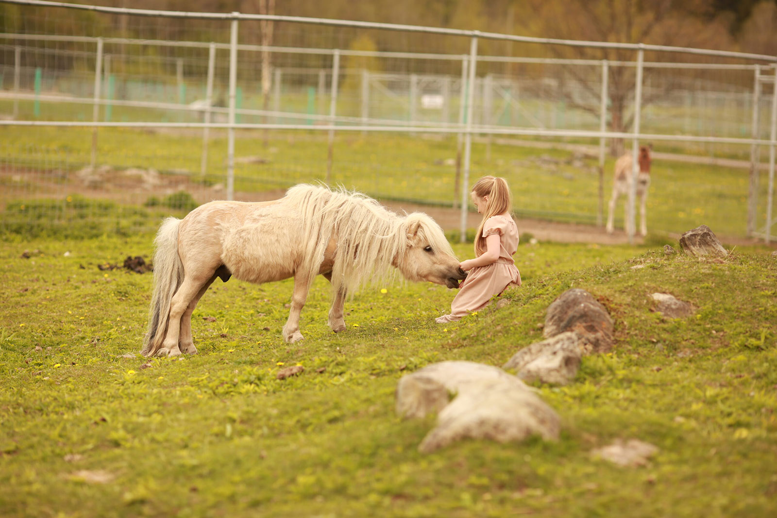 Контактный детский зоопарк в Карелии