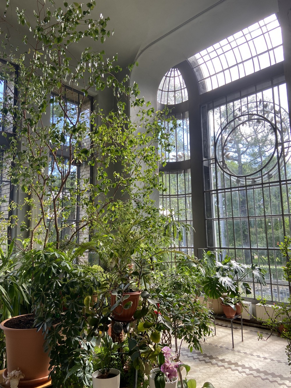 0ee5fe8c-2fdd-11ef-91d4-3274173b3701.1000x1350 0ee5fe8c-2fdd-11ef-91d4-3274173b3701.1000x1350