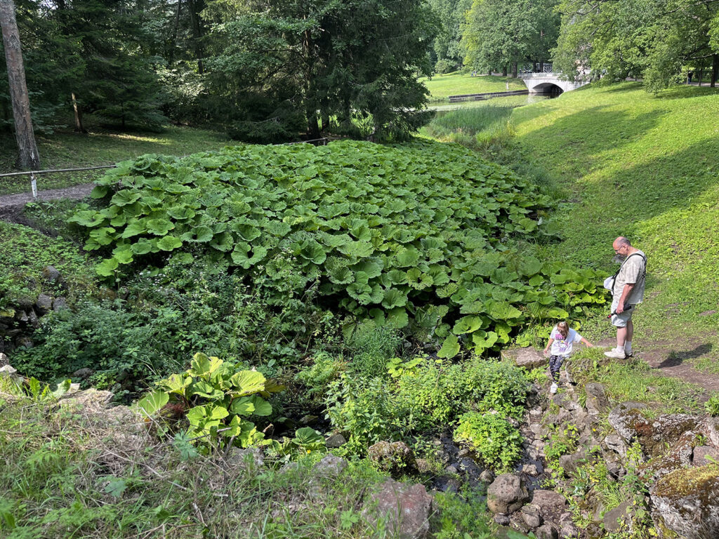 Павловский парк