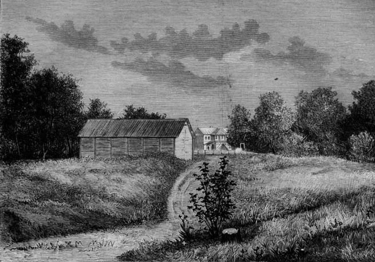 Рисунок места дуэли Пушкина, сделанный В. Я. Рейнгардом, 1880 год